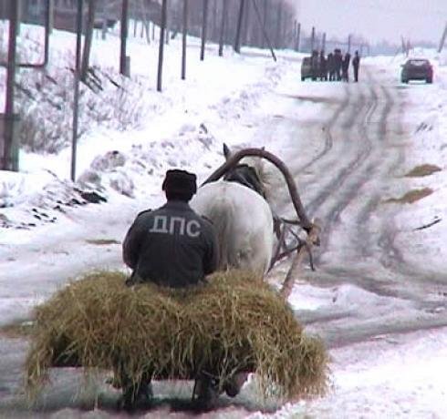
Депутаты Госдумы разработали законопроект, запрещающий использование зимних шин в тёплое время года.
