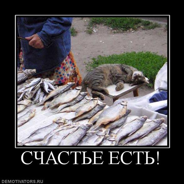 
Ограничение с 20 апреля по 15 июня 2010 года на рыбалку в Астрахани
