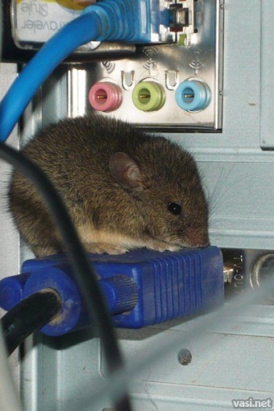 
Беспроводная мышь
