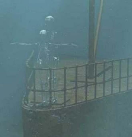 
С "Коста Конкордиа" спасли внучку выжившей пассажирки "Титаника"
