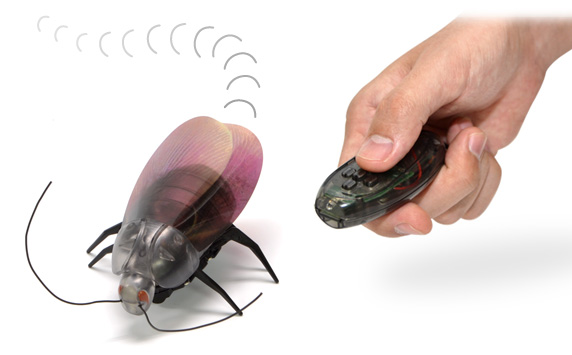 
Радиоуправляемые роботы-тараканы уже в продаже

