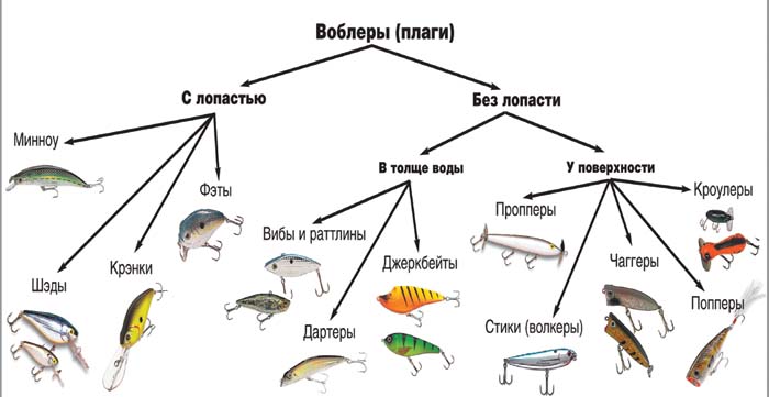
Основные термины и понятия рыболова. Воблеры.
