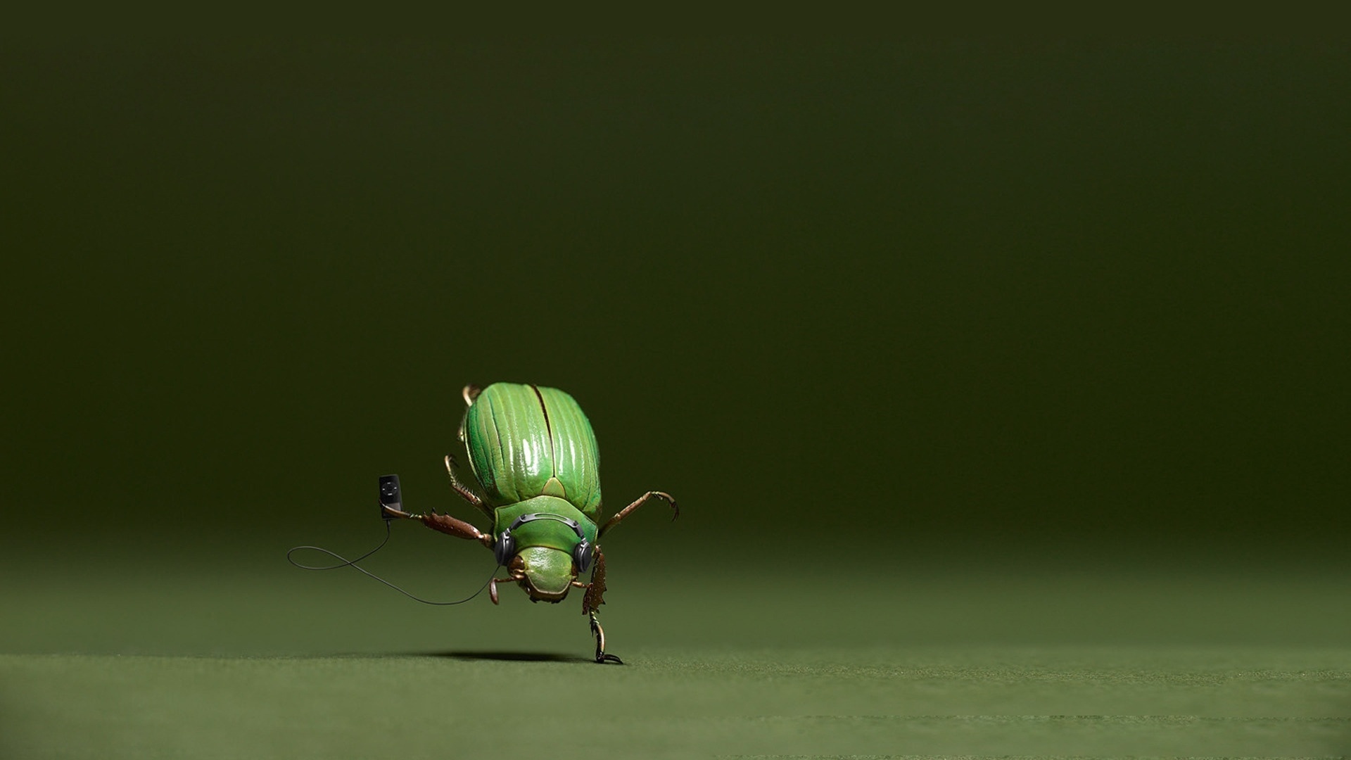 
Энтомологи открыли жука с ручкой
