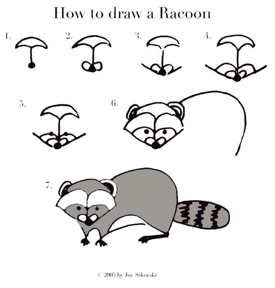 
Как нарисовать енота
